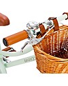 Banwood Classic Bicycle with Mint Pedals - 4 to 7 Years - Removable Wheels Bycicles
