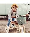 Banwood Pin & Ride Basket for Bicycle and Scooter - Clay - Eco-Friendly and Durable Bicycle Accessories