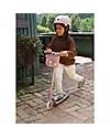 Banwood Pin & Ride Basket for Bicycle and Scooter - Dusty Rose - Eco-Friendly and Durable Bicycle Accessories