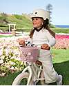 Banwood Pin & Ride Basket for Bicycle and Scooter - Dusty Rose - Eco-Friendly and Durable Bicycle Accessories