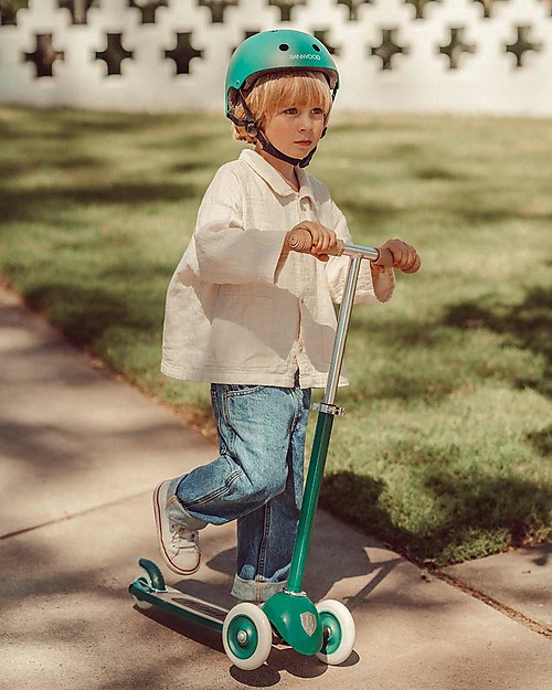 Banwood Scooter with Removable Basket - Green - from 3 Years Up to 50 kg Scooters