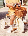 Banwood Wood and Vegan Leather Baby Trike - Cream - From 3 years old Tricycles