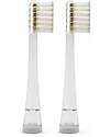 Bblüv Sönik Pro - Replacement brush heads - 18-36m Toothbrush