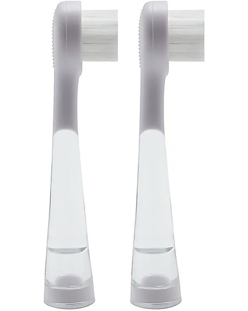 Bblüv Sönik Pro - Replacement brush heads - 6-18m Toothbrush