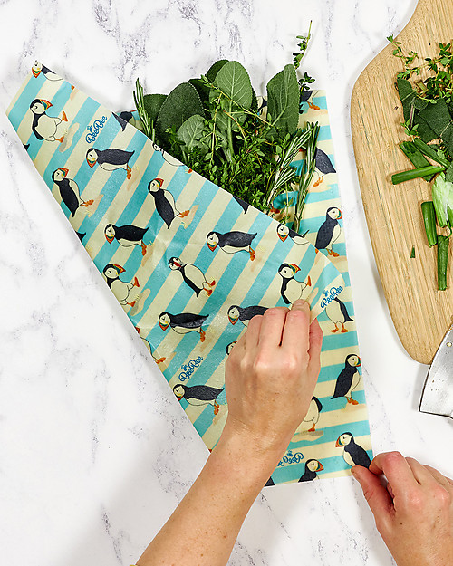 BeeBee Wraps The Family Pack - Ocean Food Containers