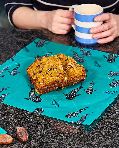 BeeBee Wraps The Family Pack - Ocean Food Containers