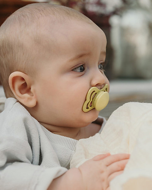 BIBS Supreme Pacifier - Symmetrical Nipple in Silicone - Set of 2 - Meadow and Earth - BPA & PVC Free Dummies & Soothers