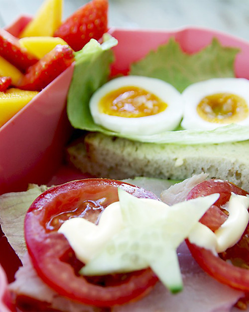 Blafre 2-Compartments Lunch Box, Owl 25 x 17.5 x 6.5 cm - Free from BPA or phthalates! Thermal Containers