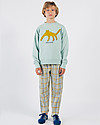 Bobo Choses Leopard Sweatshirt - Frosty Green - 100% Organic Cotton Sweatshirts