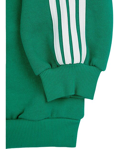 Bobo Choses Long Sleeves Zipped Sweatshirt - Green - 100% Organic Cotton Sweatshirts