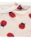 Bobo Choses Puff Sweatshirt - Ladybug All Over - Irresistible Style Sweatshirts