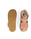 Bobux I Walk Compass Sandal - Rose - Expert Walkers Sandals