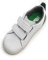 Bobux I Walk Grass Court Shoes - White and Forest - Expert Walkers Sneakers