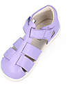 Bobux I Walk Tidal Sandals - Lilla - Expert Walkers Sandals