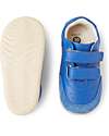 Bobux Step Up Champ Chalk Shoes - Olympian Blue Shoes