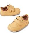 Bobux Step Up Timber Low Shoe - Oak Buff - First Steps Shoes