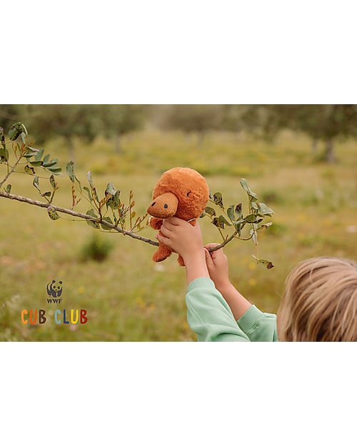 Bon Ton Toys Plush Paddy Platypus - Brown - 7" Soft Toys