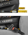 Bébé Confort/Maxi Cosi Beryl Car Seat, Nomad Grey - Multi-age, from Birth to 7 years! Car Seats Group 1/2/3