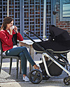 Bébé Confort/Maxi Cosi Jade Carrycot, Nomad Black - Up to 6 months, Isofix and R129 Compliant Pram Systems