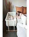 Childhome 2 in 1 Evolux Bedside Sleeper - White -  97 x 64 x 85 cm Next To Me Cribs