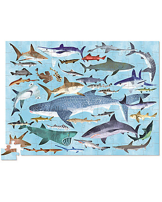 Crocodile Creek 100piece Puzzle in Canister with 36 Fascinating and Unique Sharks! Puzzles