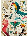 Crocodile Creek 750 Pieces Puzzle - World of Birds Puzzles