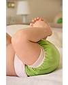 Culla di Teby Kit Provami - Washable Diaper -  Fresh Green Washable Nappies