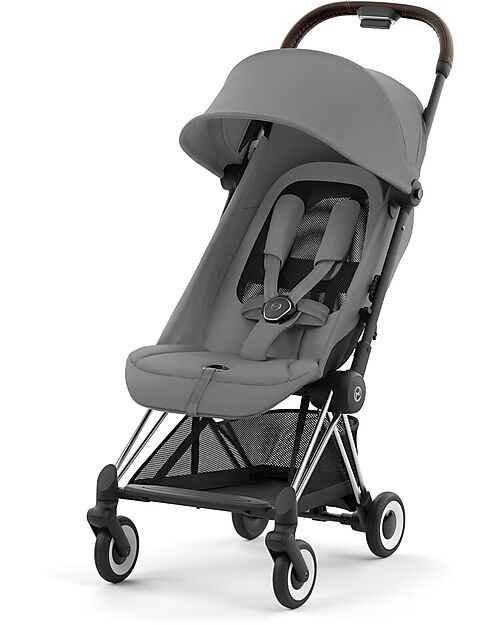 Grey buggy 2024