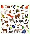 Djeco Kit of 160 Stickers - Theme Fauna - from 4 to 7 years Stickers & Stamps Sets