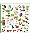 Djeco Kit of 160 Stickers - Theme Fauna - from 4 to 7 years Stickers & Stamps Sets