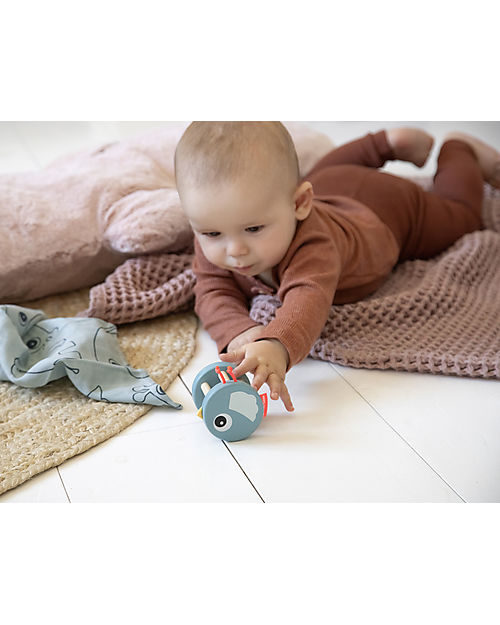Done By Deer Bell Rattle - Birdee - Blue - Wooden Rattles