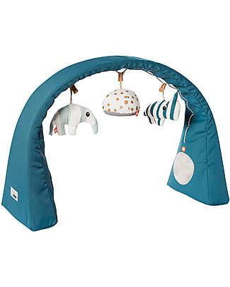Done By Deer Flexible Activity Gym, Blue - Perfect on the go! Baby Gym