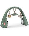 Done By Deer Flexible Activity Gym - Tiny Farm - Green - Perfect for Traveling - 0+ Baby Gym