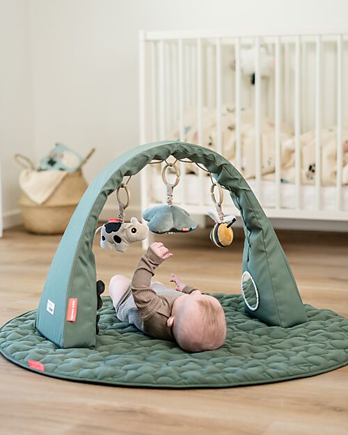 Done By Deer Flexible Activity Gym - Tiny Farm - Green - Perfect for Traveling - 0+ Baby Gym