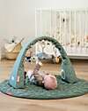 Done By Deer Flexible Activity Gym - Tiny Farm - Green - Perfect for Traveling - 0+ Baby Gym