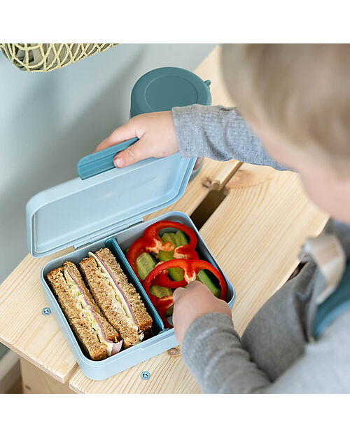 Done By Deer Lunch Box with Divider - Tiny Farm - Blue - Perfect for Little Hands! Snack Boxes