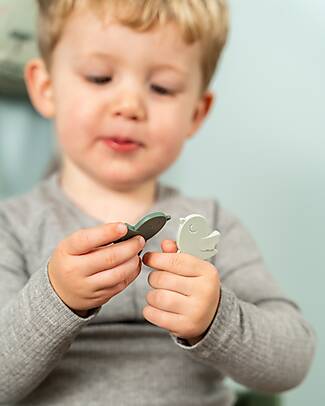 Done By Deer Lunch Box with Divider - Tiny Trails - Green - 13 x 11 x 6 cm - 100% Food Grade PP Snack Boxes