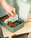 Done By Deer Lunch Box with Divider - Tiny Trails - Green - 17,5 x 13 x 6,5 cm - 100% Food Grade PP Snack Boxes