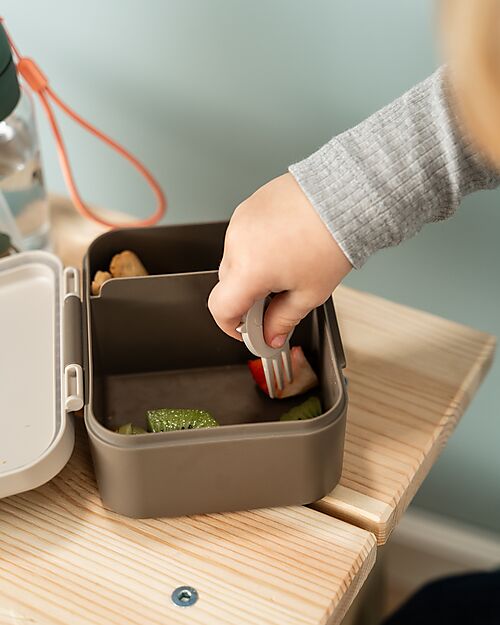 Done By Deer Lunch Box with Divider - Tiny Trails - Sand - 13 x 11 x 6 cm - 100% Food Grade PP Snack Boxes