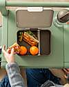 Done By Deer Lunch Box with Divider - Tiny Trails - Sand - 17,5 x 13 x 6,5 cm - 100% Food Grade PP Snack Boxes