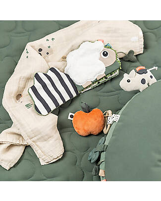 Done By Deer Sensory Baby Book - Tiny Farm - Colour mix - 3m+ Sensory Games_