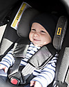Doona Doona+ Car Seat 0+ with Wheels 2-in-1, Grey Hound - Also approved as a stroller! Car Seats Group 0+/1