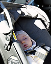 Doona Doona+ Car Seat with Wheels 2-in-1, Grey - Also approved as a stroller! Car Seats Group 0+/1