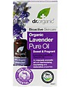 Dr.Organic Organic Lavender Pure Oil, 10 ml - Relax and Invigorate Body Lotions And Oils