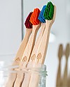 EcoLiving Plant-Based Beech Wood Toothbrush - Green - FSC certified Toothbrush
