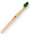 EcoLiving Plant-Based Beech Wood Toothbrush - Green - FSC certified Toothbrush
