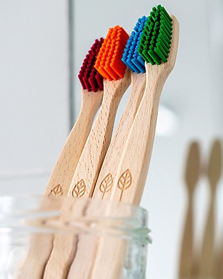 EcoLiving Plant-Based Beech Wood Toothbrush - Green - FSC certified Toothpaste and Toothbrush