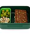 ergobag Dinosaur Snack Box - Green - 17x7x14 cm Snack Boxes