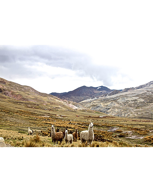 Esencia Booties Mumin, Pebble with Ladybird - 100% alpaca wool Shoes