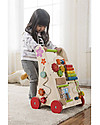 EverEarth Activity walker - To Learn Walking  - FSC Certified Wood! Push-Toys